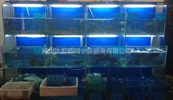 揚州慶亞 從海鮮玻璃魚缸制作到美發飾品銷售，專業匠心贏得市場口碑